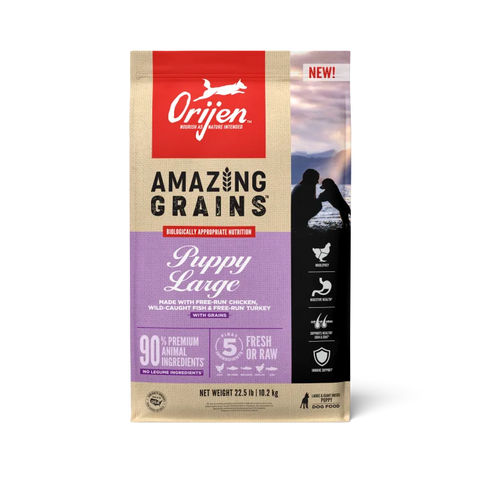 ORIJEN Amazing Grains Puppy Large Breed Recipe