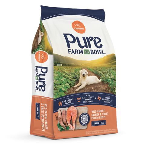 Canidae PURE - Grain Free Salmon and Sweet Potato Recipe