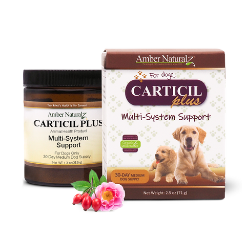 Amber Naturalz CARTICIL PLUS™