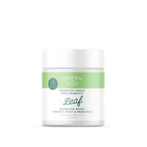 Green Juju Leaf - Fermented, Kombucha-Based Probiotic