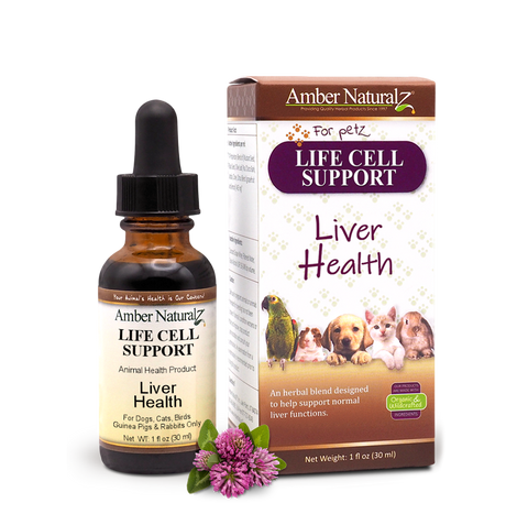Amber Naturalz LIFE CELL SUPPORT®