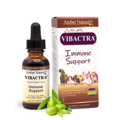 Amber Naturalz VIBACTRA