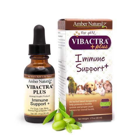 Amber Naturalz VIBACTRA PLUS